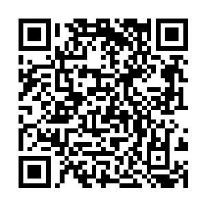 黄裳小姐带着一群人去了江逸和毒灵显露身影的地方二维码生成