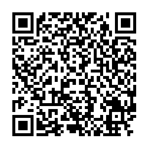 黎未未当然不知道贝海从天元观里得到了东西根本是无法用钱来衡量的二维码生成