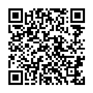 黑夫人几个看到这样的情形一个个的脸色都非常的不好看二维码生成