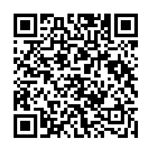 黑子那个皮包公司每个月只交纳不到一千块钱税款二维码生成