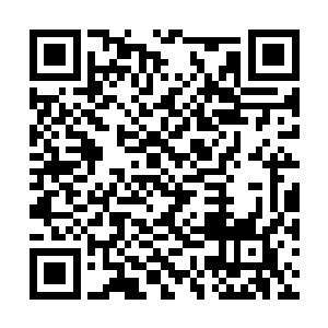 黑暗三势力虽然是紫云山脉之中所不被允许的存在二维码生成