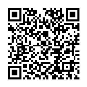 黑暗精灵应该是很有组织不会到处乱跑的一个种族吧二维码生成