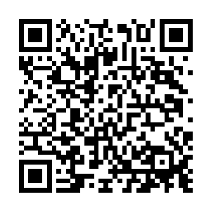 黑洞洞的枪口对准了原本包围着帕里亚酒店的萨约族士兵二维码生成