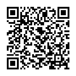 黑炭瞪大了眼睛看着苗毅掌中慢慢爬动的小螳螂二维码生成