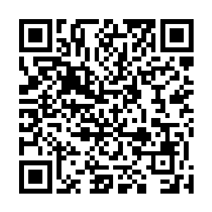 黑色剑尖在凤祖的魂力和雷霆巨剑的毁灭之力双重打击下二维码生成