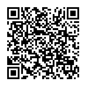 黑色的巨大的秃着头的鹫翅膀伸展开在地上投出一个两个人大小的阴影二维码生成