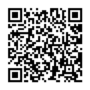 黑色的巨手也瞬间直接拍向了虚空之中的赤红色的小旗二维码生成