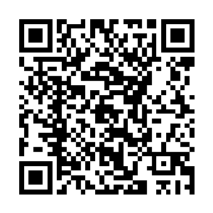 黑蜘蛛将整个烈火集团的所有情况全部详细的说了出来二维码生成