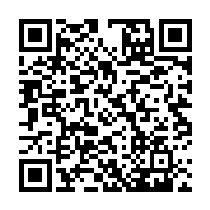 黑衣人不管是心神还是身体也都经过了龙之血脉的洗涤二维码生成