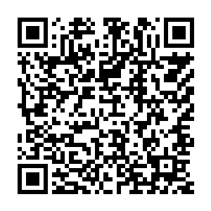 黑衣首领恭敬的带着两名手下将被绑的严严实实的白衣女子送了进来二维码生成