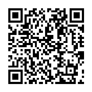 黑角族和红角族背着白角族联手攻打了好多个智慧种族二维码生成