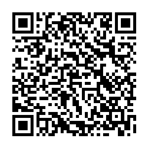 黑铁历890年出身的张承安现在已经已经是一个看起来有十三四岁的健壮少年二维码生成