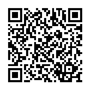 黑霉宗王也不能相信自己这么久还奈何不了叶楚二维码生成