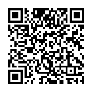 黑风王李耀和神秘的傀儡王可能存在非常密切的关系二维码生成