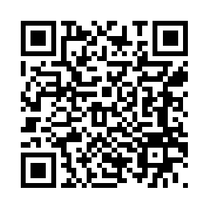 黑鹰跟苍鹰他们三人分别负责三条线二维码生成