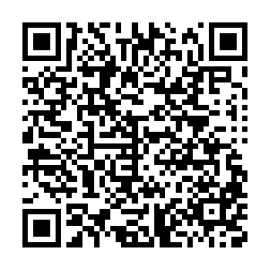 黑龙铁塔般的身子就像他身边的那棵大树一样直挺挺的向地上倒去二维码生成
