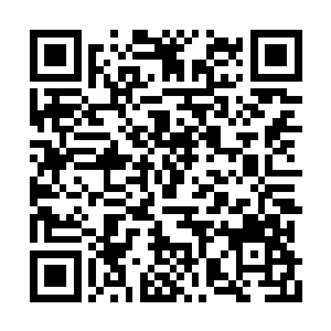 默默的关注着剑尘走完这次空前绝后的盛世婚礼二维码生成