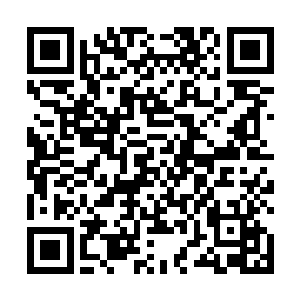黛玻菈和拜仁慕尼黑俱乐部展开了有关荣光的续约谈判二维码生成