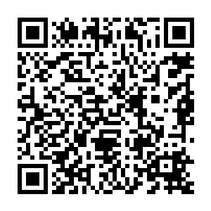 鼎盛时期的米肯西学派曾经将秘密花园作为一个公开的巫师聚集地二维码生成