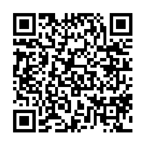 鼠越身上的登龙石化为一点金光飞入方运脚下的龙气云中二维码生成