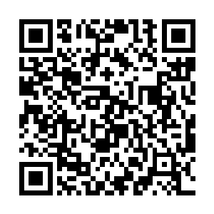 齐刷刷的看向雪如楼和一旁气的吹胡子瞪眼的绵老头二维码生成