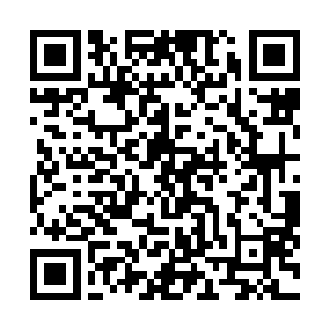 齐文谦和齐文谧本来已经对近距离接触西洋人不抱希望了二维码生成