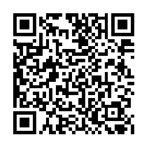 齐薇格是不是在剧组霸凌电影界的新人导演罗伯二维码生成