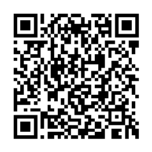龙丘佑指着一片看起来幻境比较淡薄的地方说道二维码生成