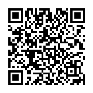 龙之火焰燃烧到蜈蚣怪物的甲壳上面没有留下一丝的痕迹二维码生成