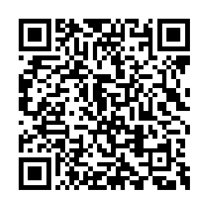 龙傲天一行人也再一次朝着十万大山的深处赶去二维码生成