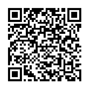 龙傲天一行人也直接来到了一条狭长的峡谷的外围二维码生成