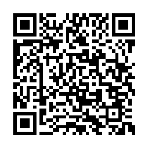 龙傲天一边全力的抗衡着虚空之中的恐怖的威压二维码生成