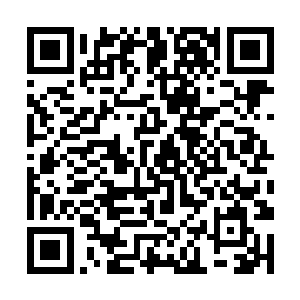 龙傲天两个人的目光顿时都落到了混元星辰宝树上面二维码生成