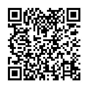 龙傲天也不敢肯定圣殿中到底有没有老怪物的存在二维码生成