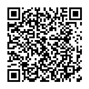 龙傲天也是不由得想起了之前白烟带着自己和凌霜两人去到那望池之下二维码生成