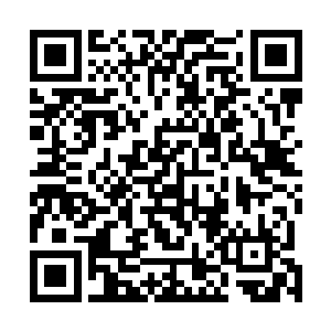 龙傲天从那身后的石壁上面感受到了一股晦涩的能量波动二维码生成