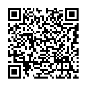 龙傲天他们刚刚一离开客栈就发现身后跟踪的人立即少了一个二维码生成