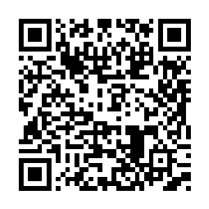 龙傲天元神上面的玄妙的气息也更加的浓郁起来二维码生成