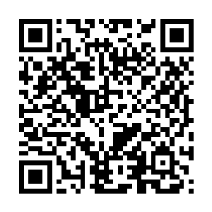 龙傲天几个人也更加见识到了这个法宝的诡异之处二维码生成