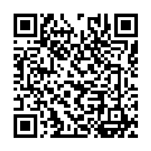 龙傲天几个人几乎也是同一时间将目光望向了那边二维码生成