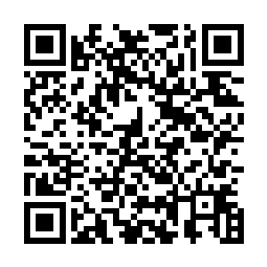 龙傲天只感觉一股浓浓的死亡的气息也从这具身体上面传来二维码生成
