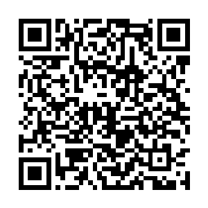 龙傲天只感觉自己的识海之中猛地发出一声轰鸣声二维码生成