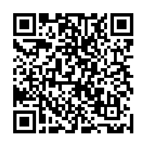 龙傲天只是对水之本源法则的一些基本运用得到了一些参悟二维码生成