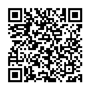 龙傲天向着既然拿到了仙药就立刻把空间里面的雨纷飞释放出来二维码生成