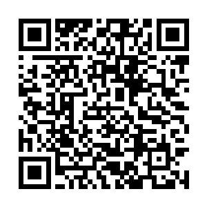 龙傲天在人群之中也发现了两个引起他注意的存在二维码生成