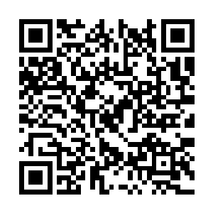 龙傲天在倪备举的眼中不过是蝼蚁一般的人物而已二维码生成