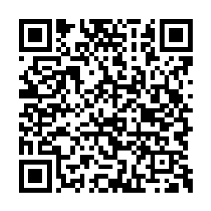 龙傲天在宇无极的心中也是变得越来越神秘起来二维码生成