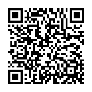 龙傲天就算是再自负也不会觉得自己可以改变这种田地规则二维码生成