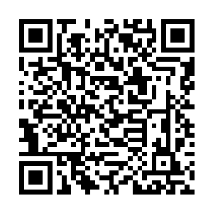 龙傲天悄悄的一个土遁遁到了地下开始寻找起大伯来二维码生成