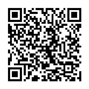 龙傲天才发现自己在这个时候已经来到了第三层的空间二维码生成